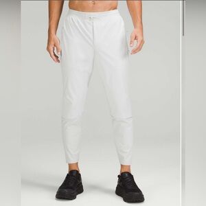 EUC Lululemon Fast and Free Cold Weather Run Pant 28”L XXL Vapor Color Luxtreme
